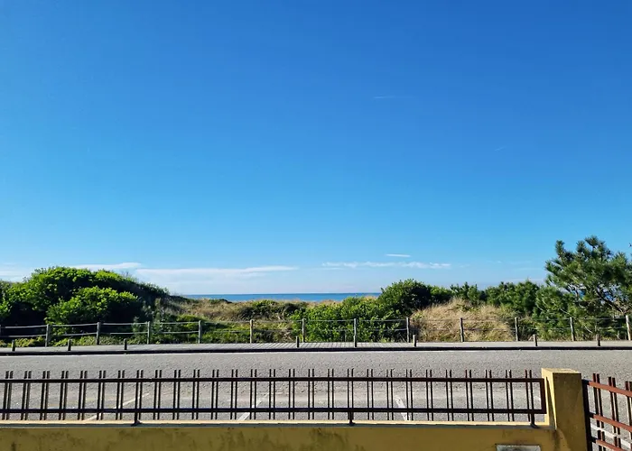 別荘 Casa Cogumelo Beachfront Retreat *